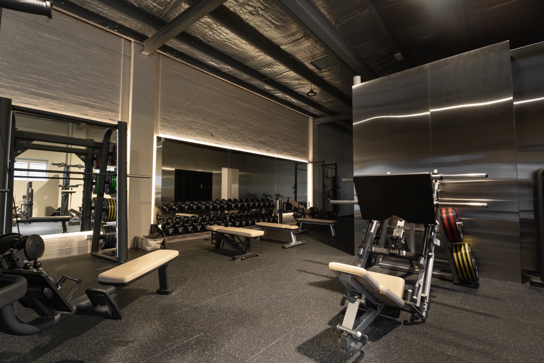 Free weights, mirrors and strength equipment